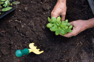 The benefits of gardening for seniors | Meth-Wick Community
